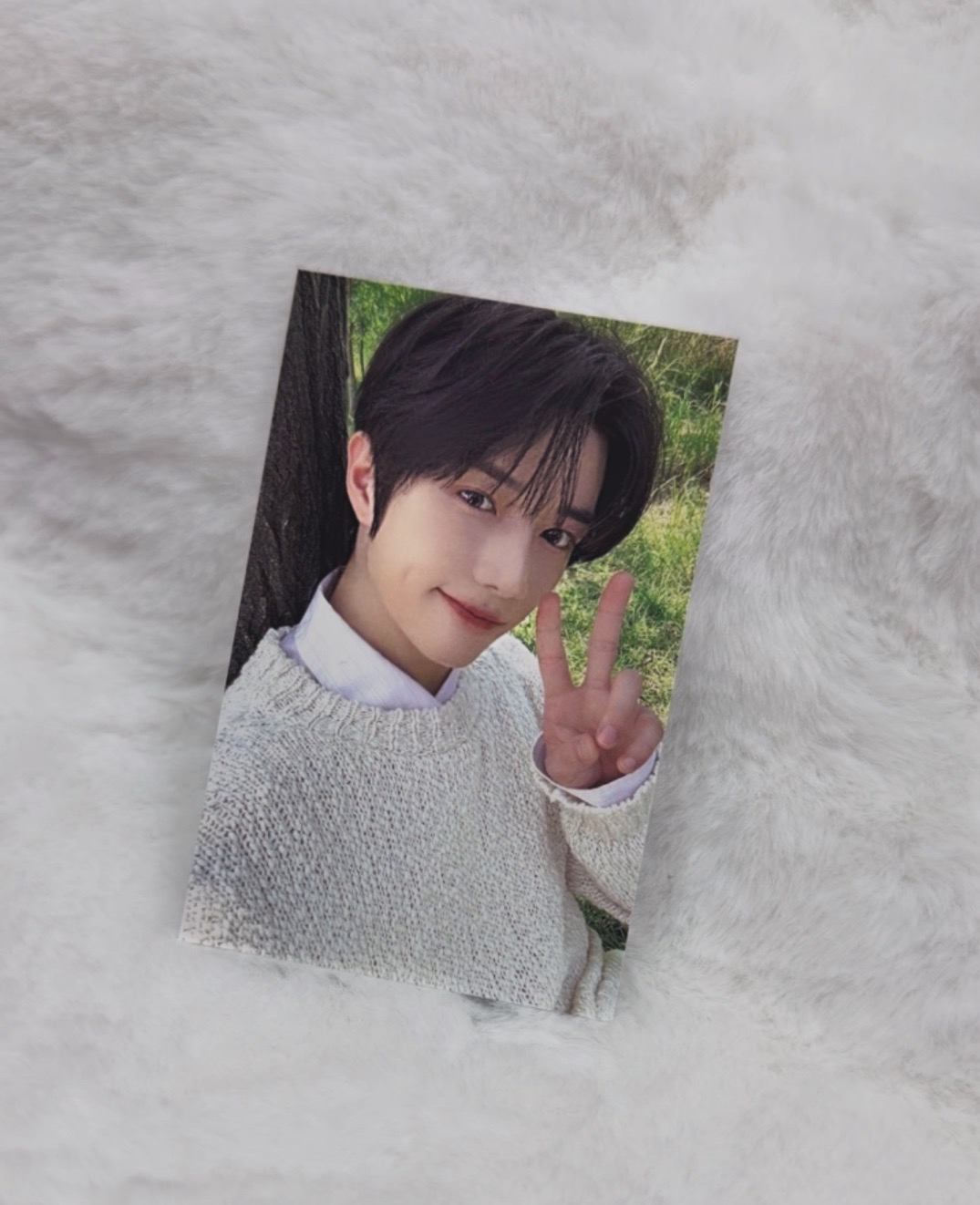 TXT 台北場zone卡