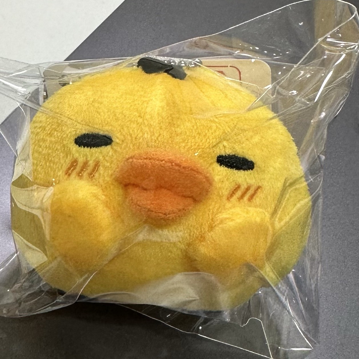 每日生活系列第二彈 眯眯眼 小黃雞 鼻孔雞