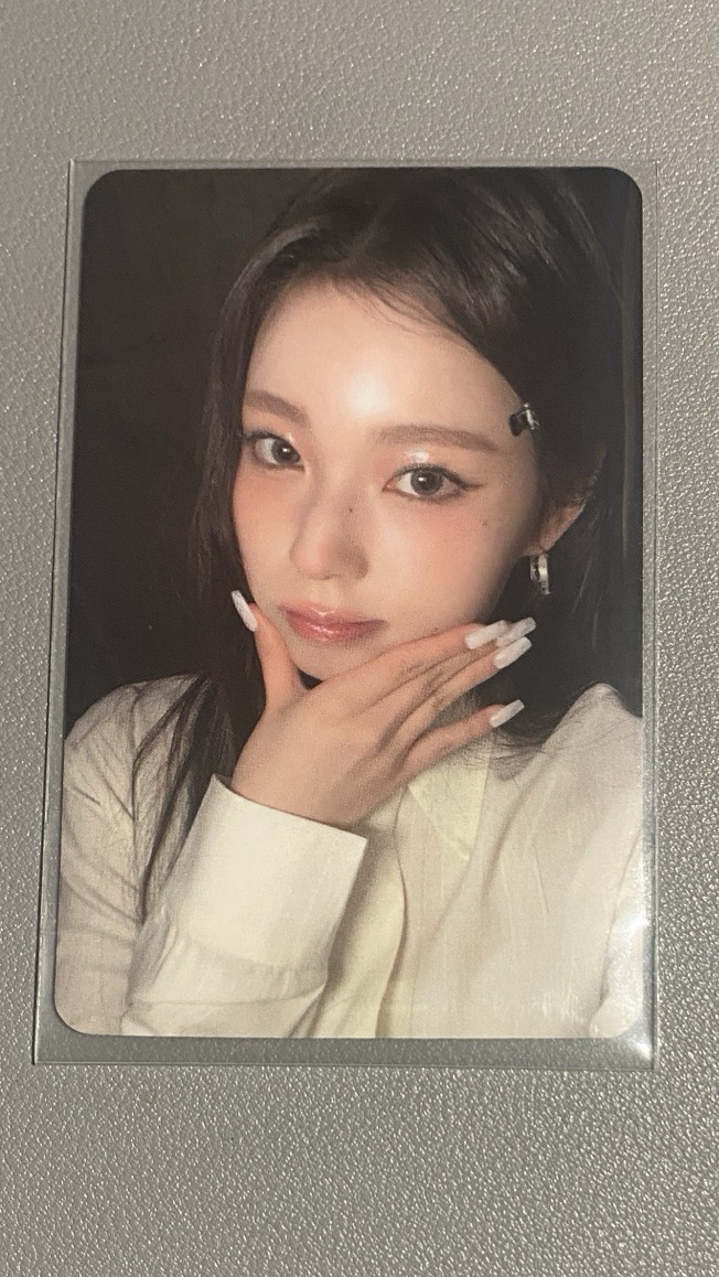 星河預售圭（中背）