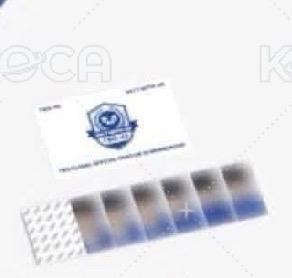 TWS 一期會員禮證件照拆售