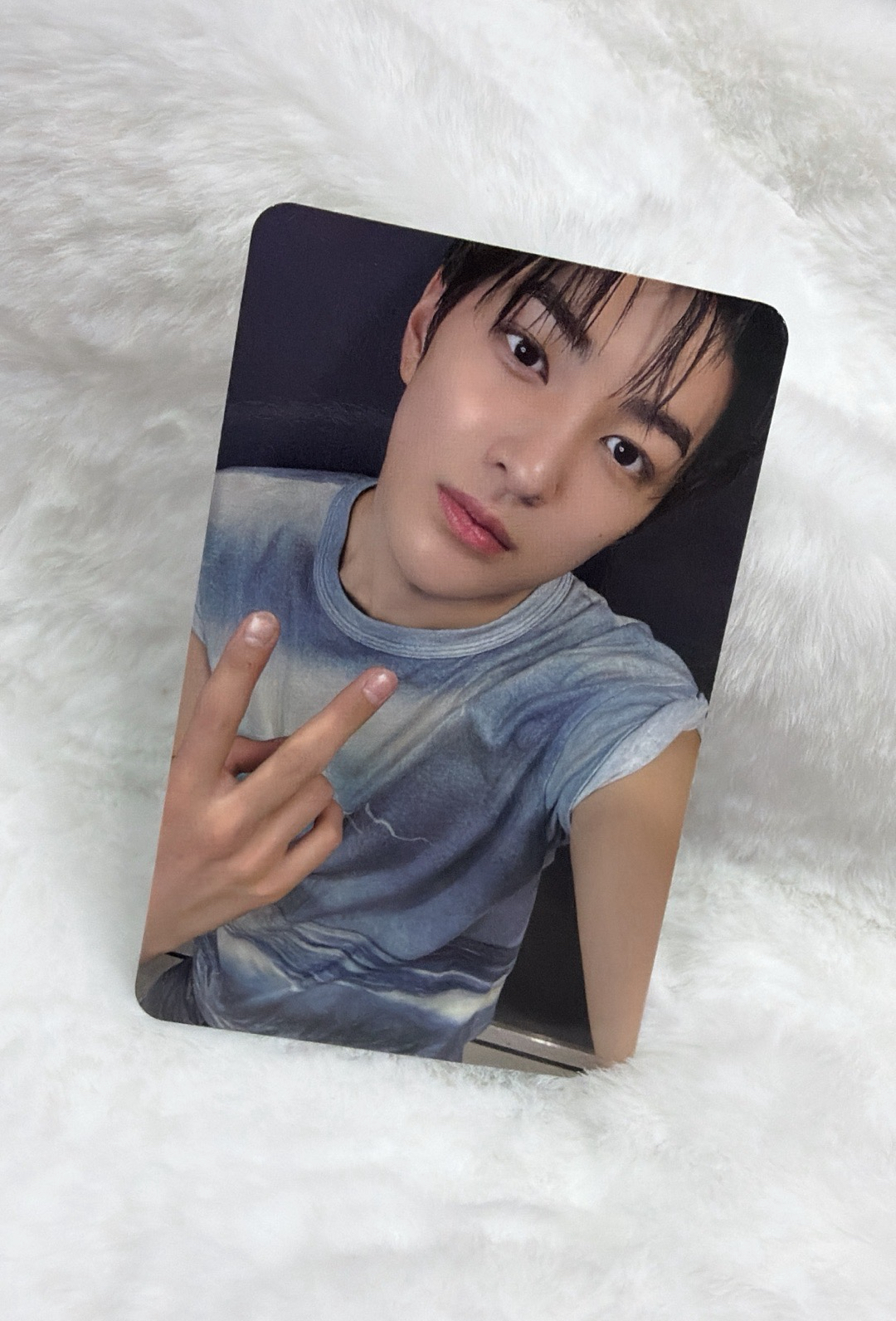 cortis 微樂客 鎬🐶