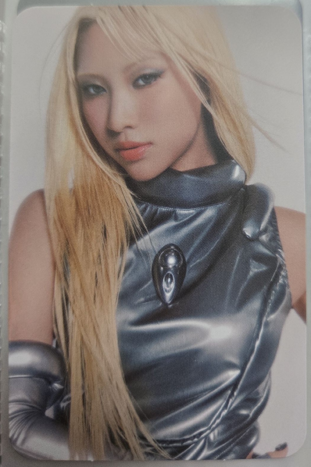 The core LP 專卡 Maya