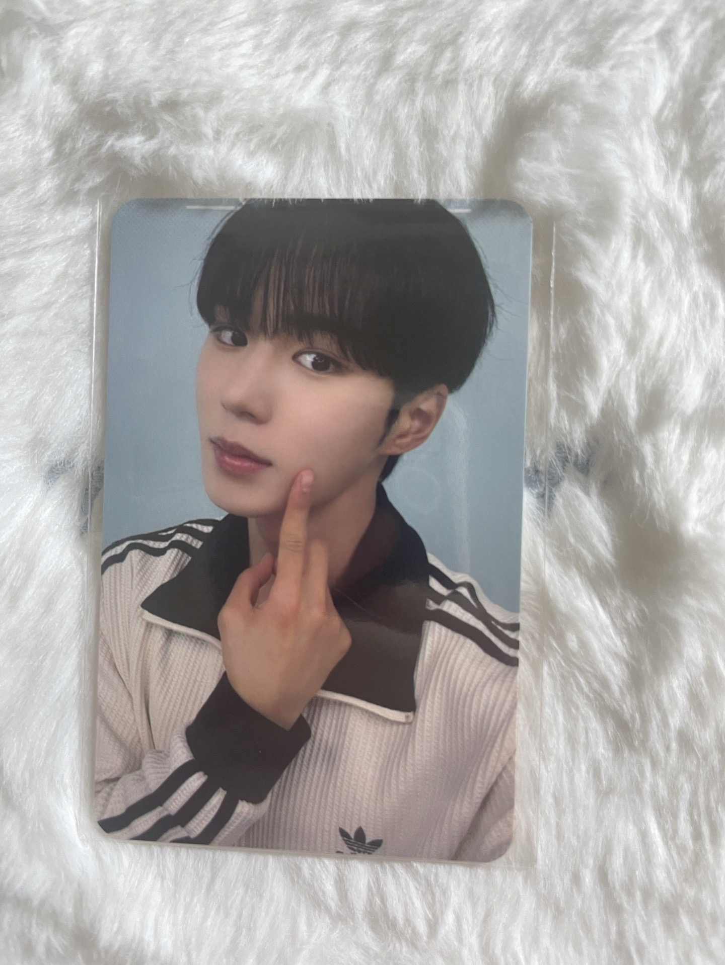 俊抒 迷一 mnet 甜蜜臉頰 特典卡 