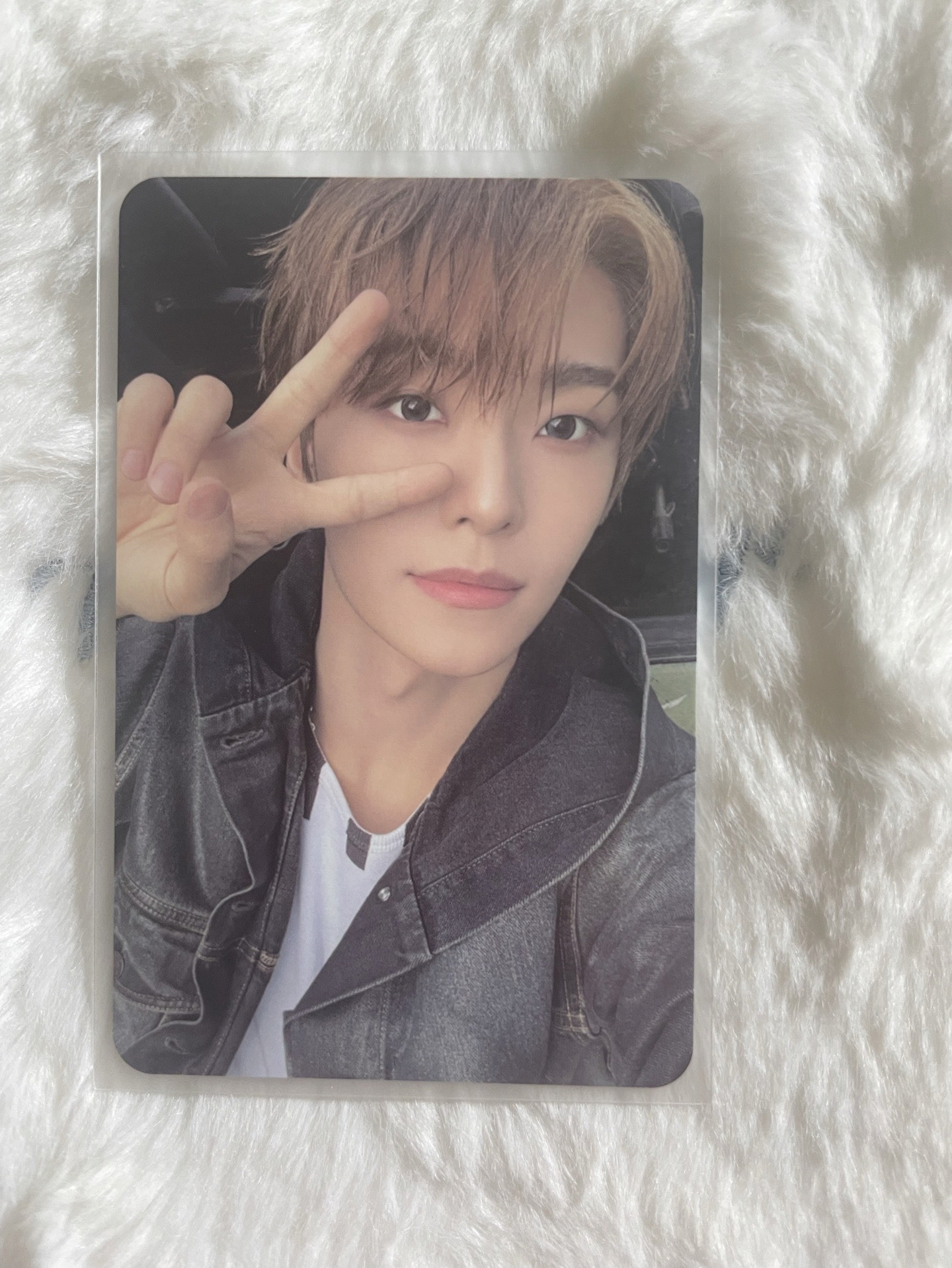 鑫隆 迷一 Freak Alarm 專輯卡 