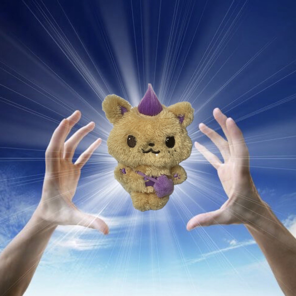 🌷一販 sioning（已拆）