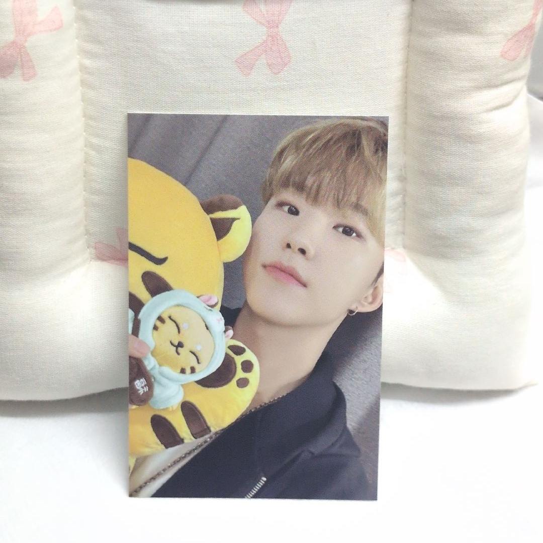 權純永（順榮）Hoshi 小耽耽