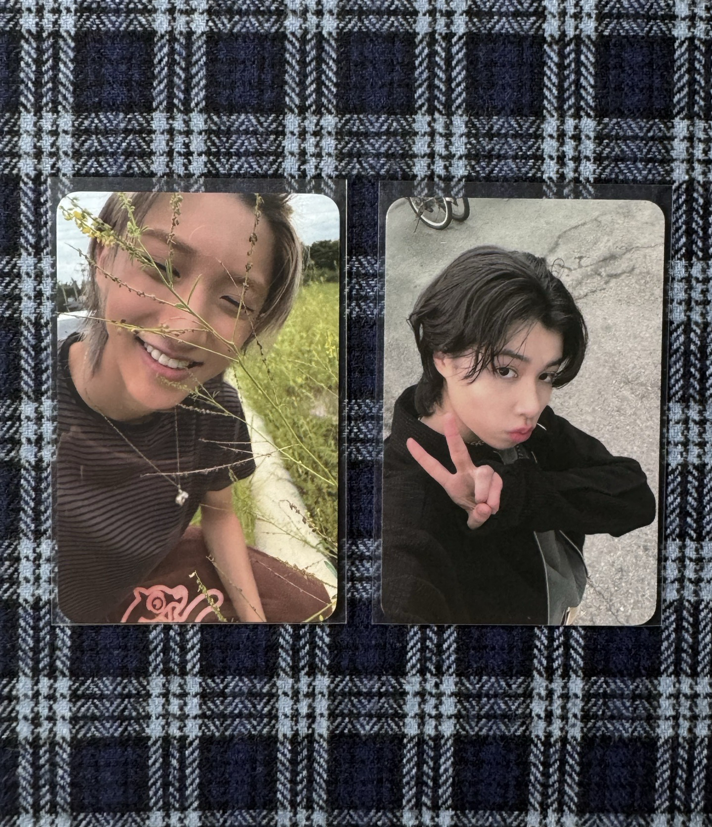 🦞宇津➕路易貼紙書小卡