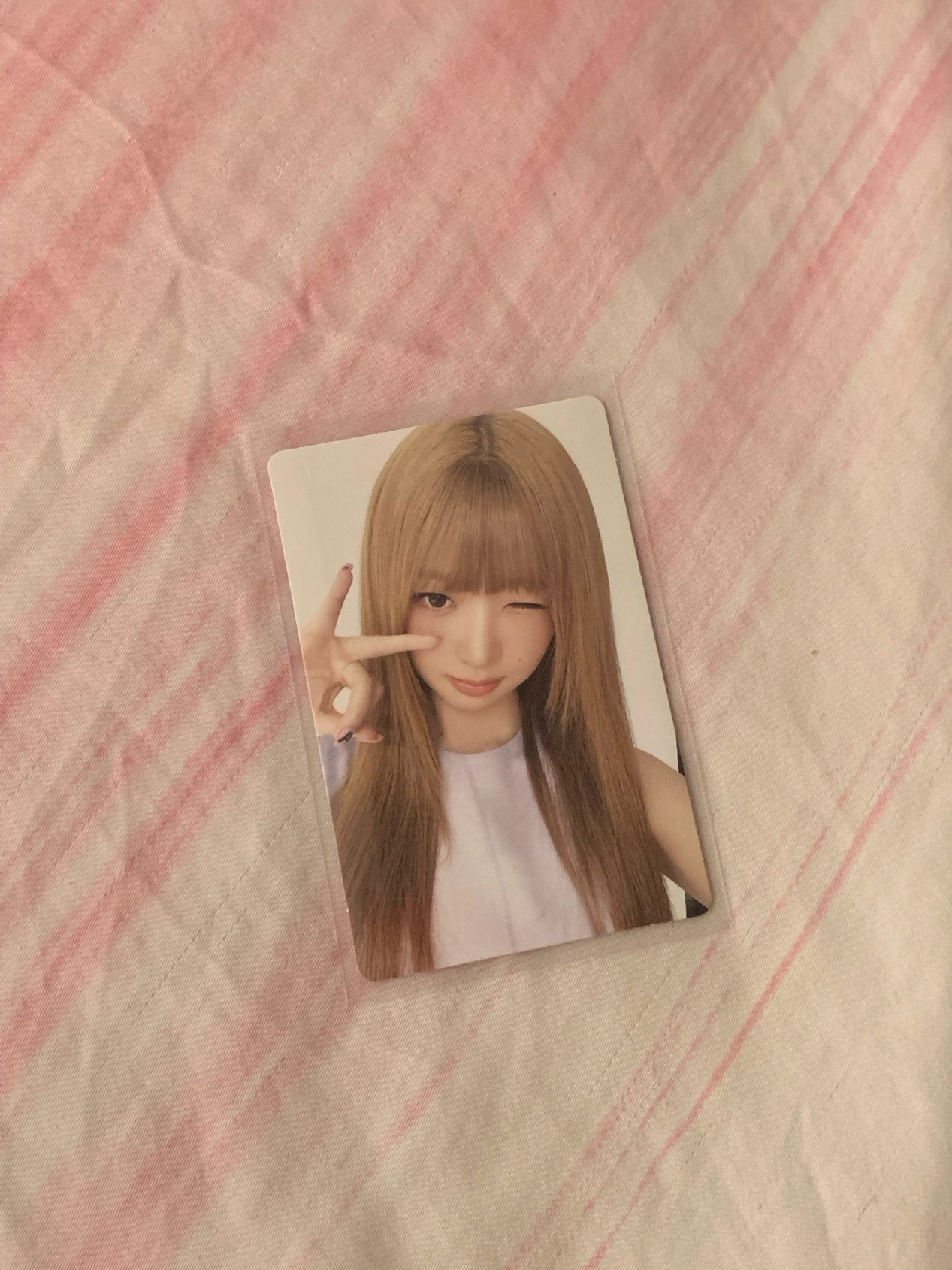 REVIVE+ ms 1.0 特典卡 