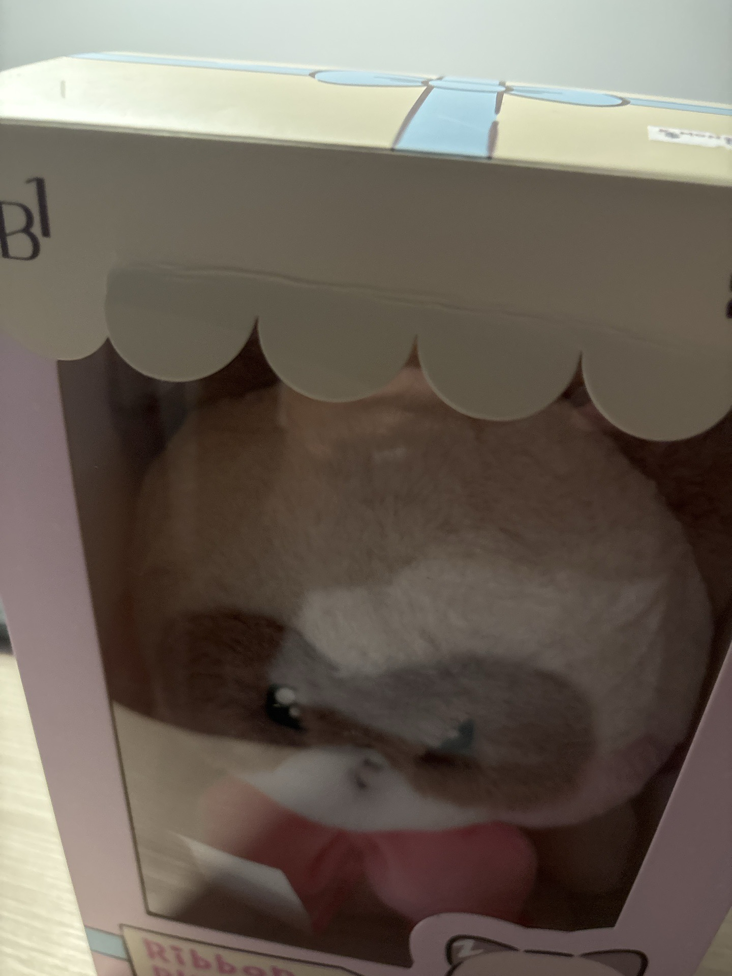 章昊zeroni HOME PARTY 中娃蝴蝶結