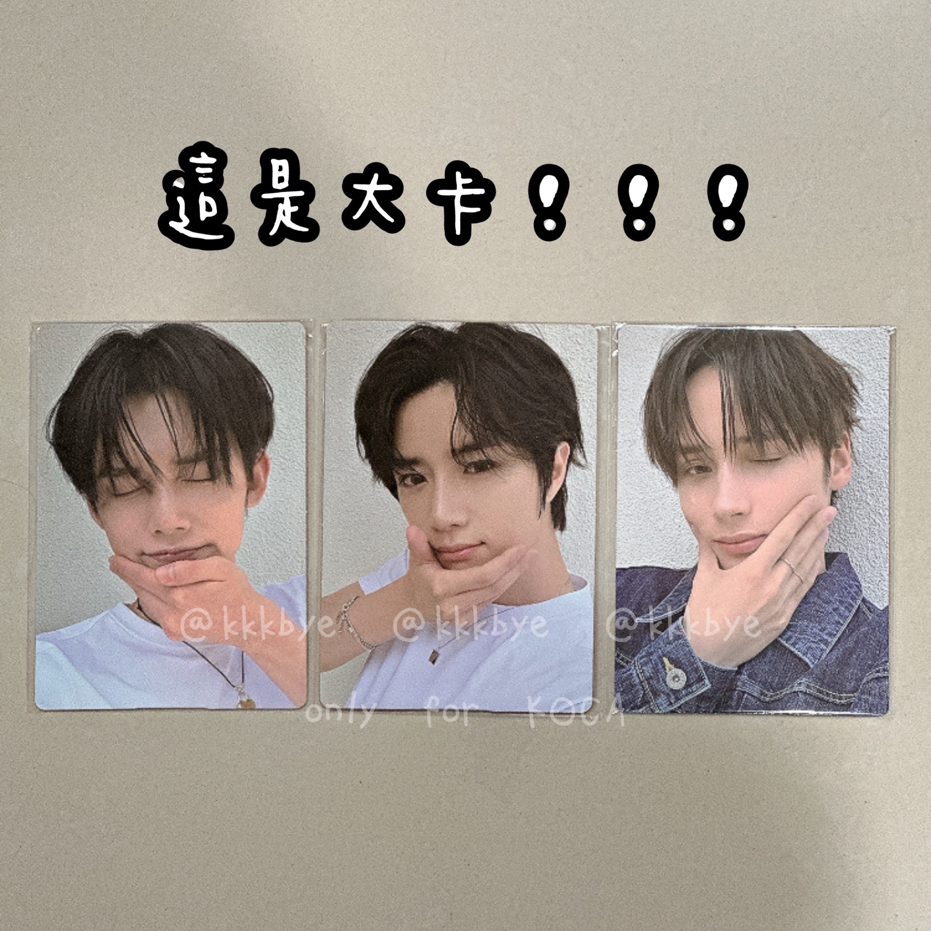 🦊🧸🐧Love Language wvs 特典卡 大卡