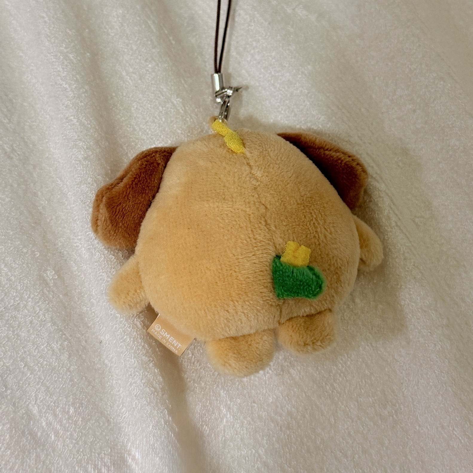 曬黑狗龍 墨鏡ver