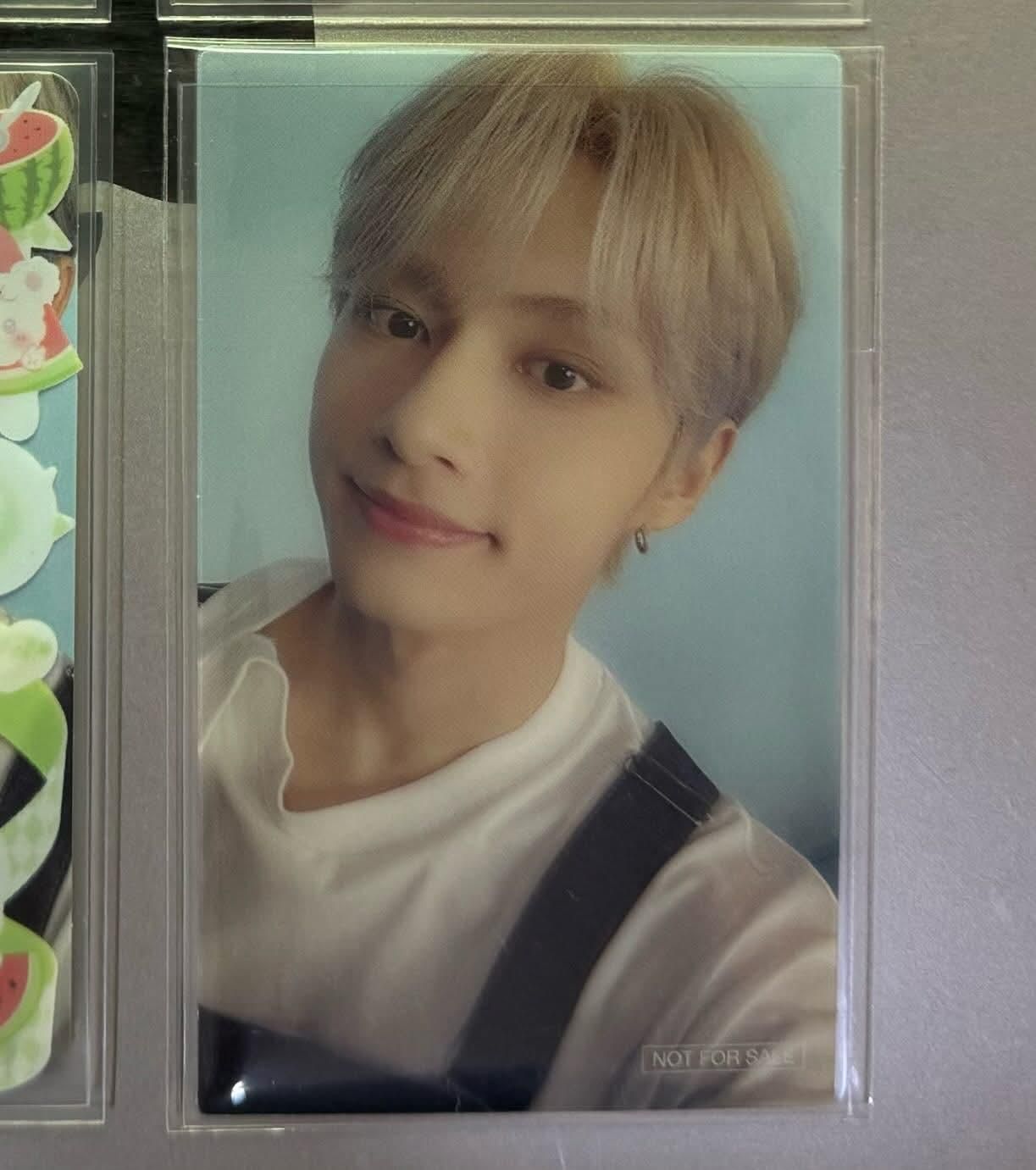 DREAM日專 泡泡俊