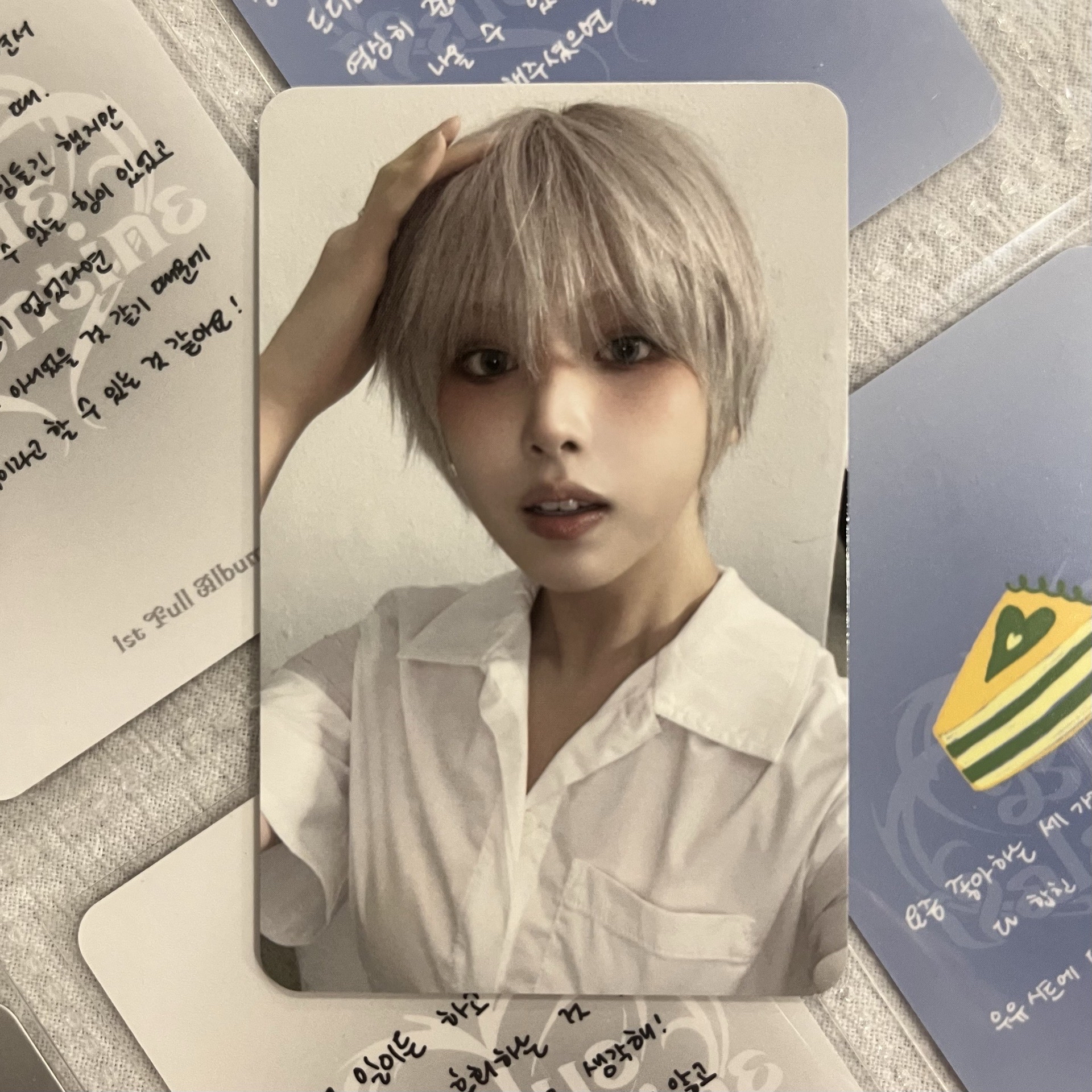 🐾藍情專卡 友