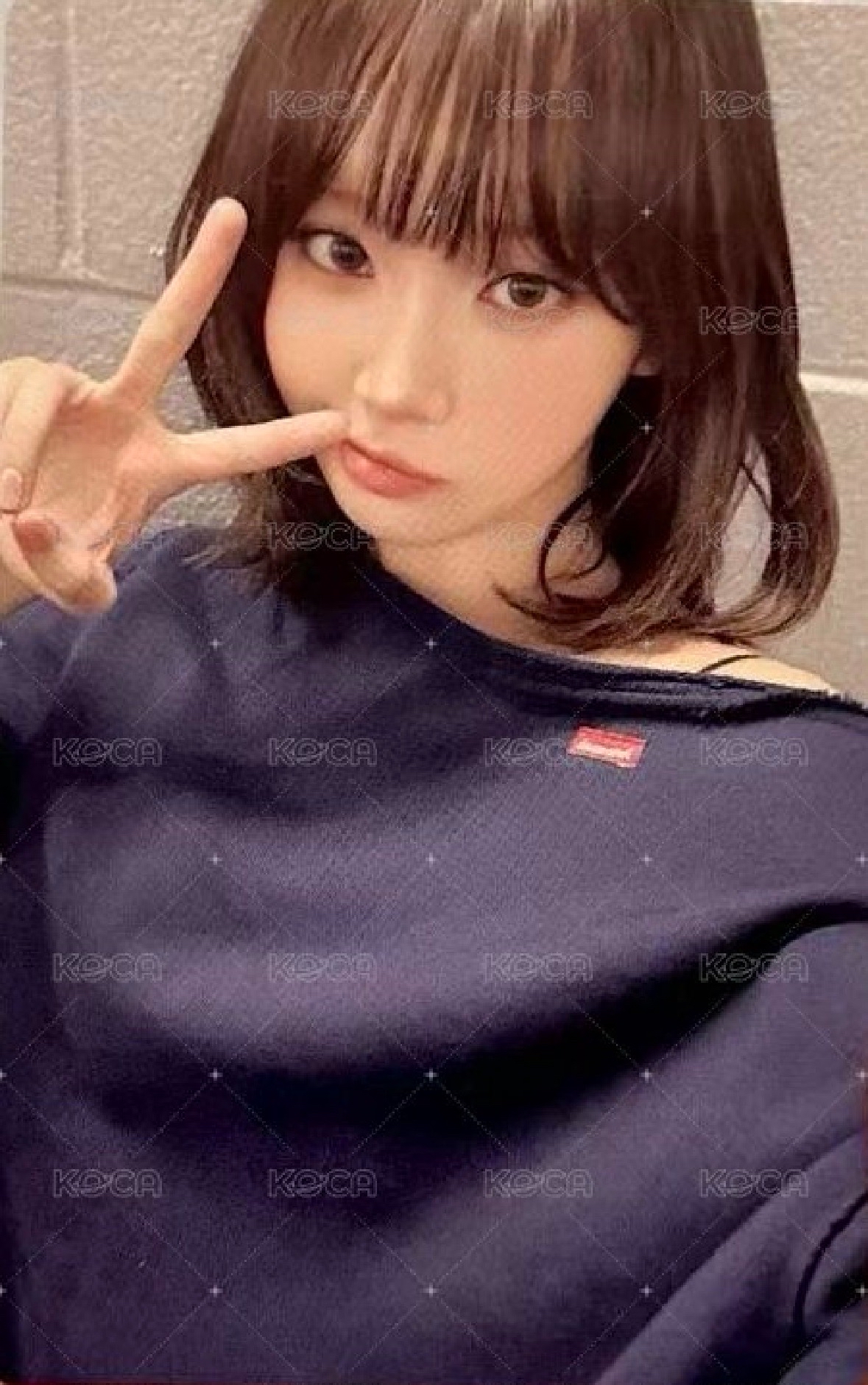 SPAGHETTI 京東 預售 特典卡 