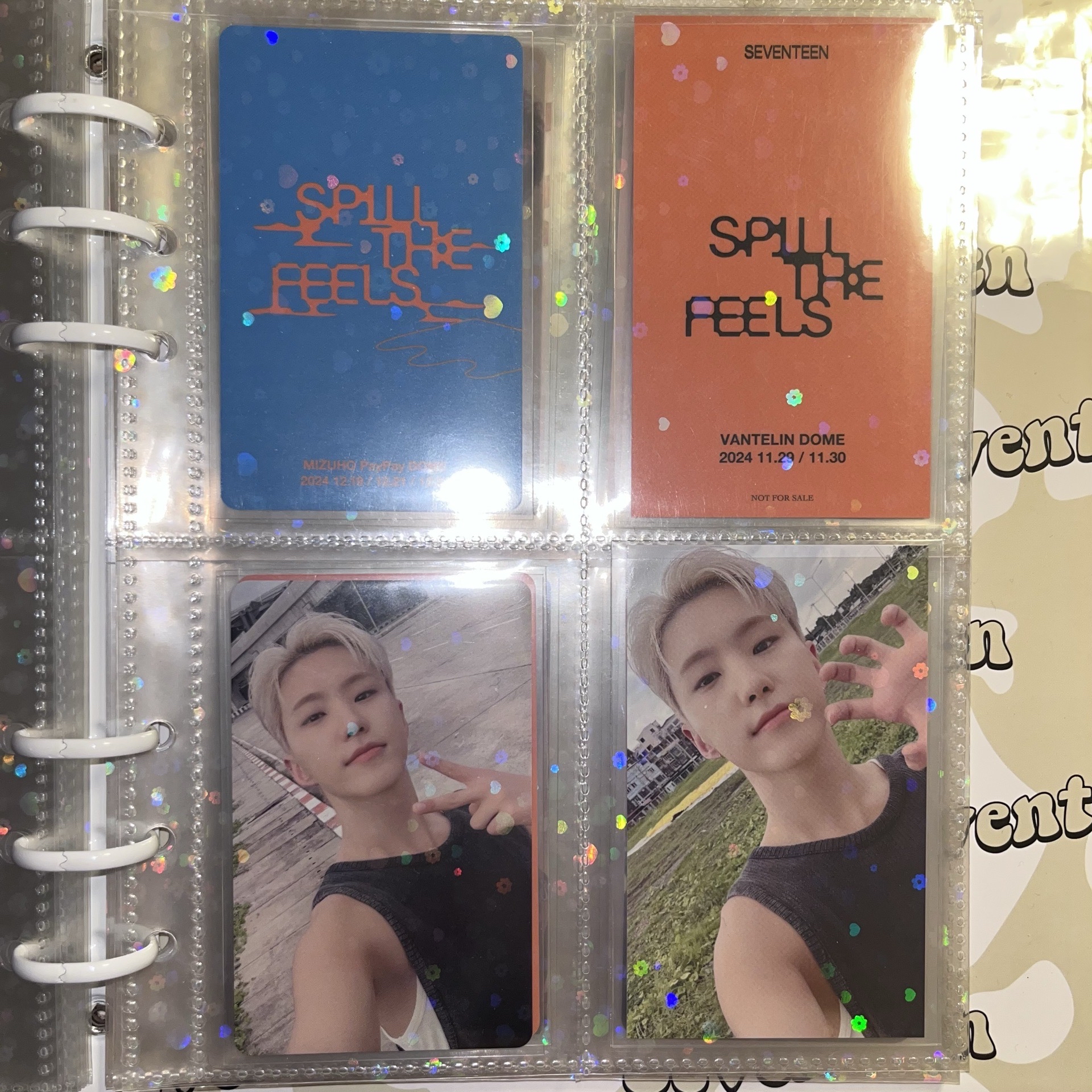 迷十二 日本場限 榮盤🐯