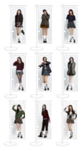 TWICE 新國立一番賞 D賞 迷你旗幟