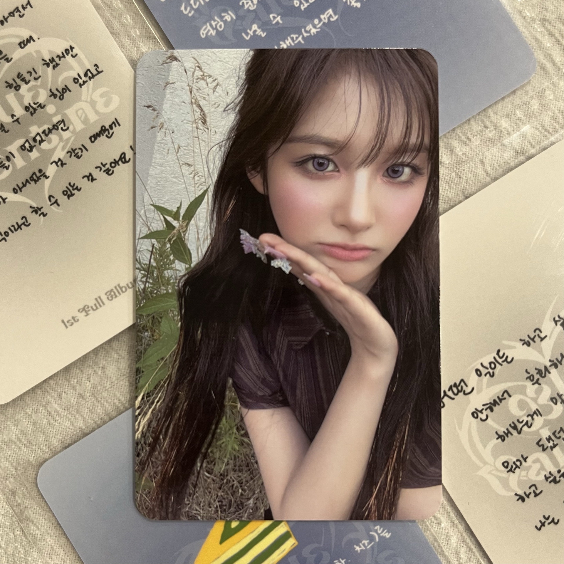 🐾藍情專卡 薛