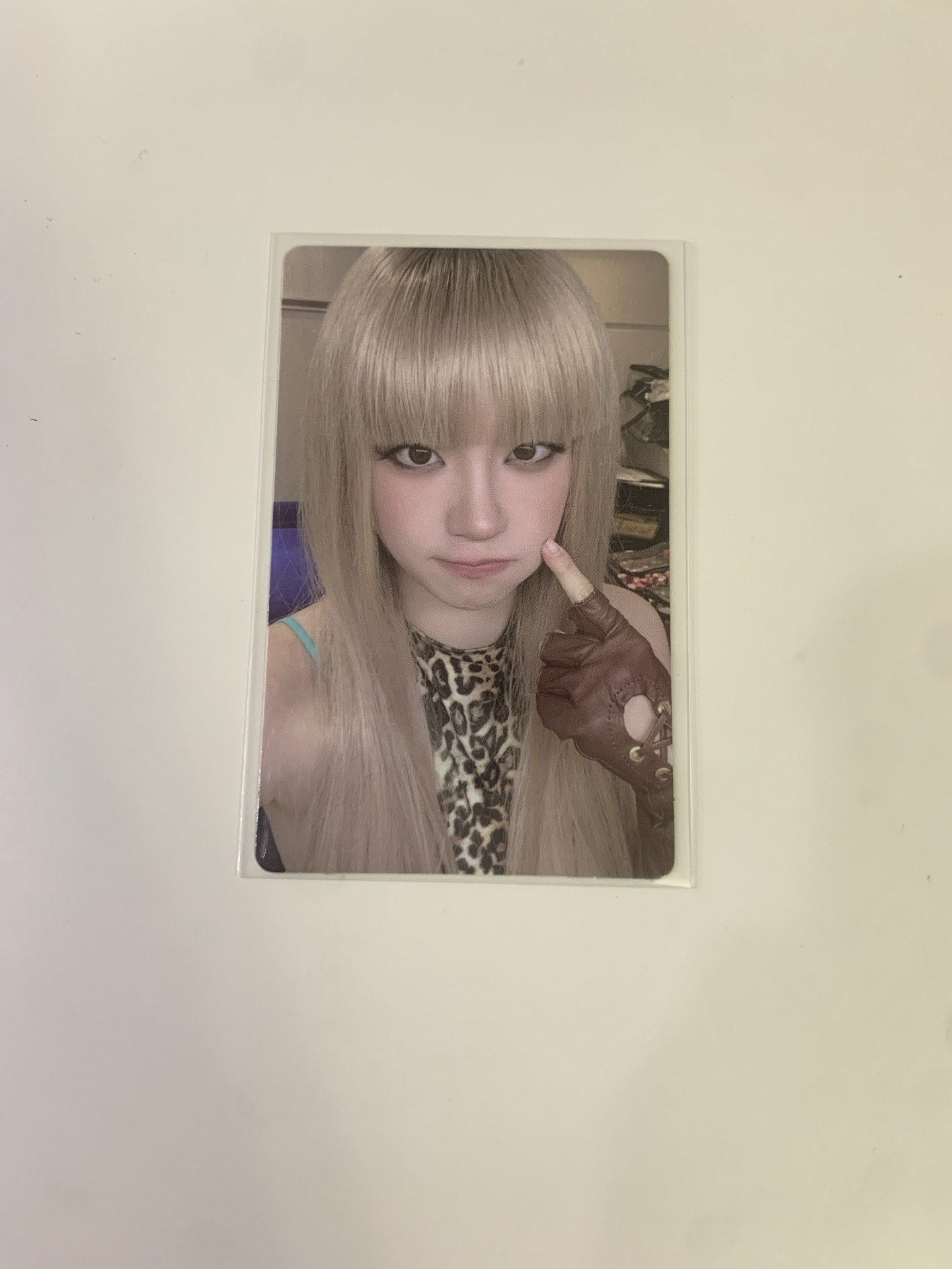 We are wvs 線上1.0 簽售卡