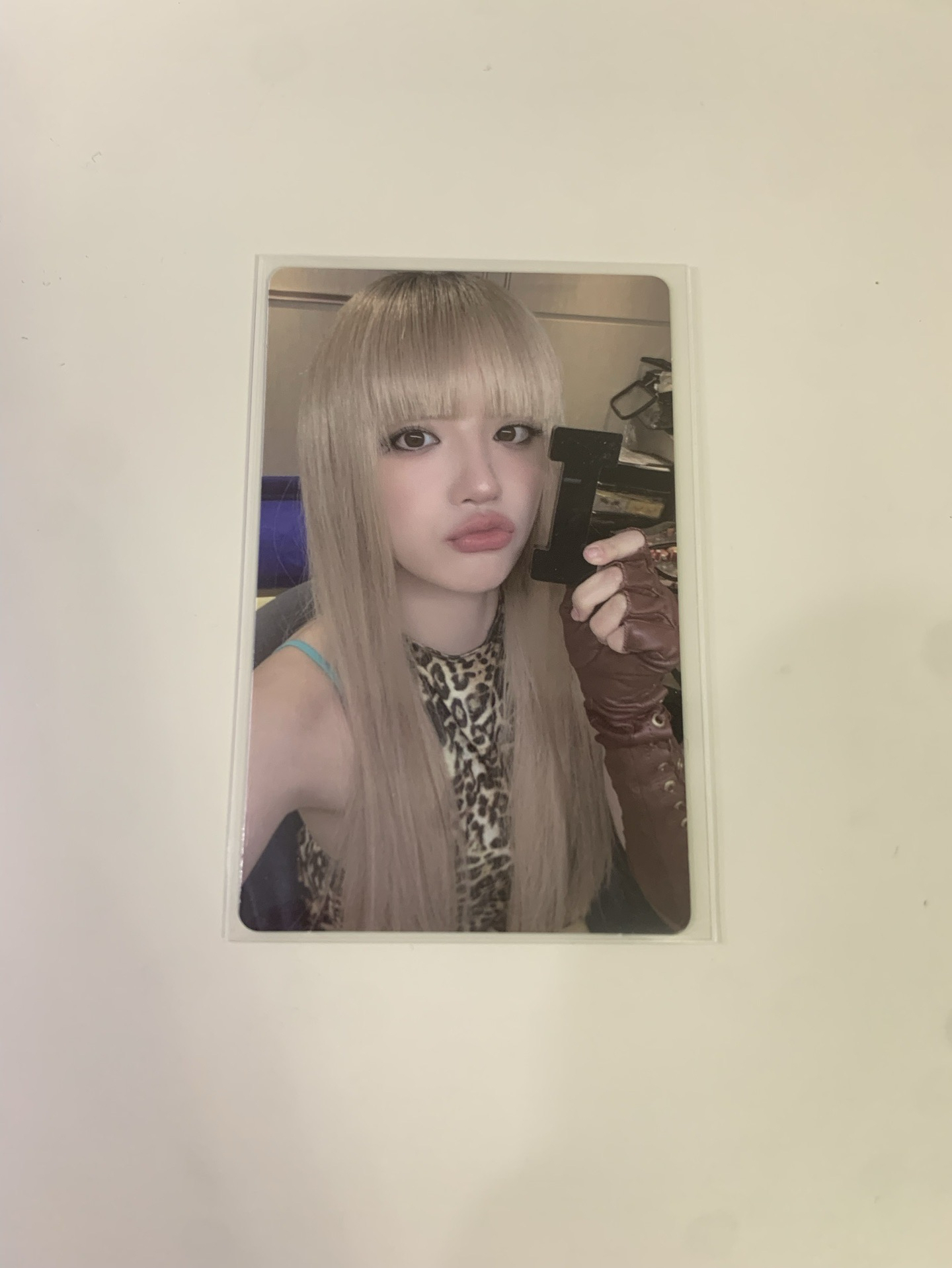 We are wvs 特典卡