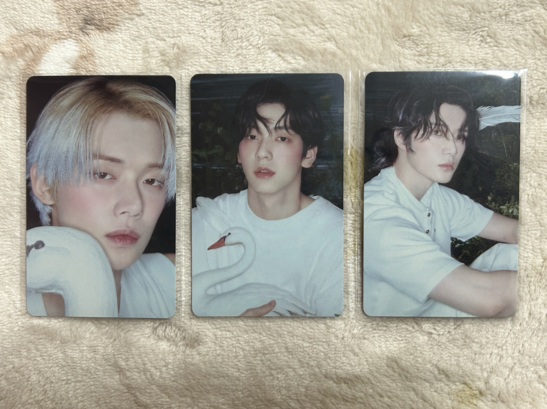 TXT｜Starkissed 塔店 特典卡