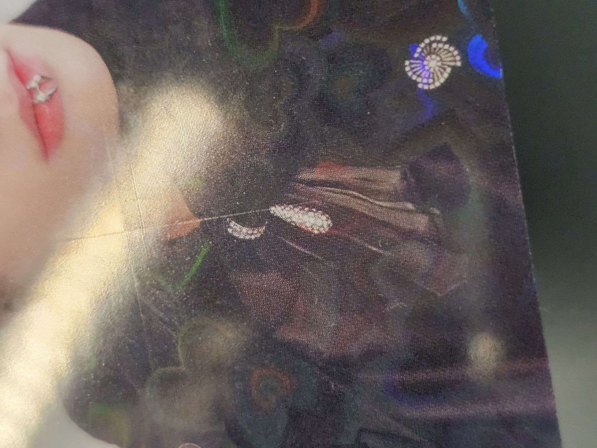 金髮狗耳倫 愛心閃