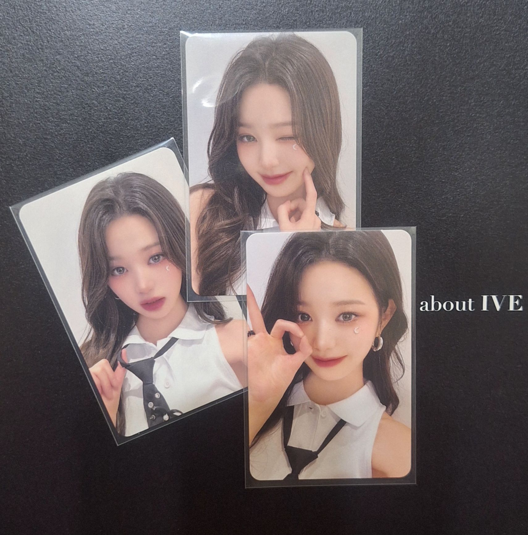 DVD船特+固配 員