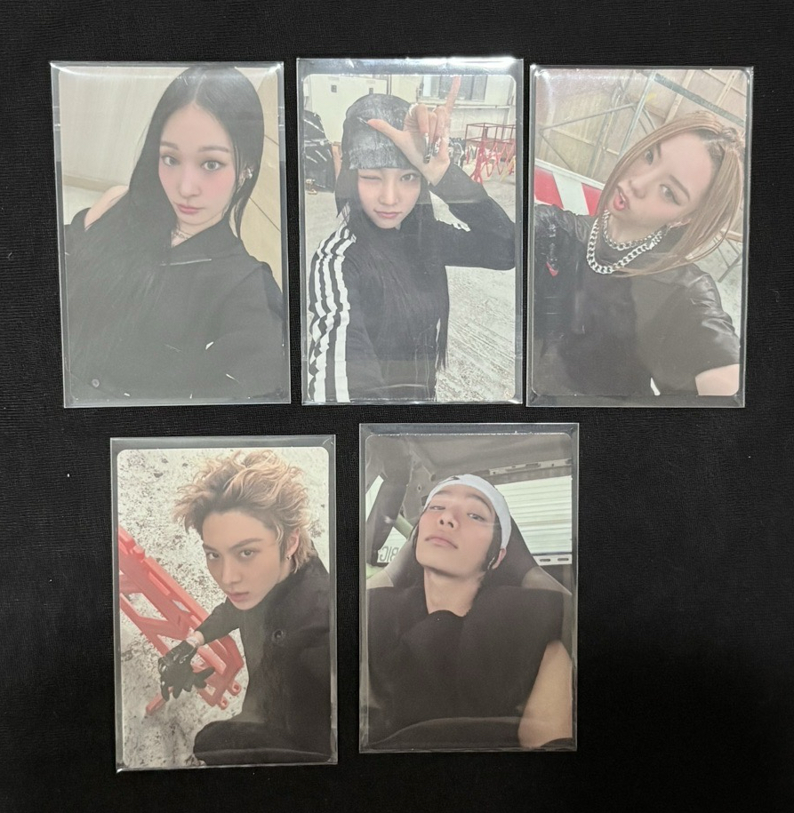 卡通專卡一套（QRCODE已掃）