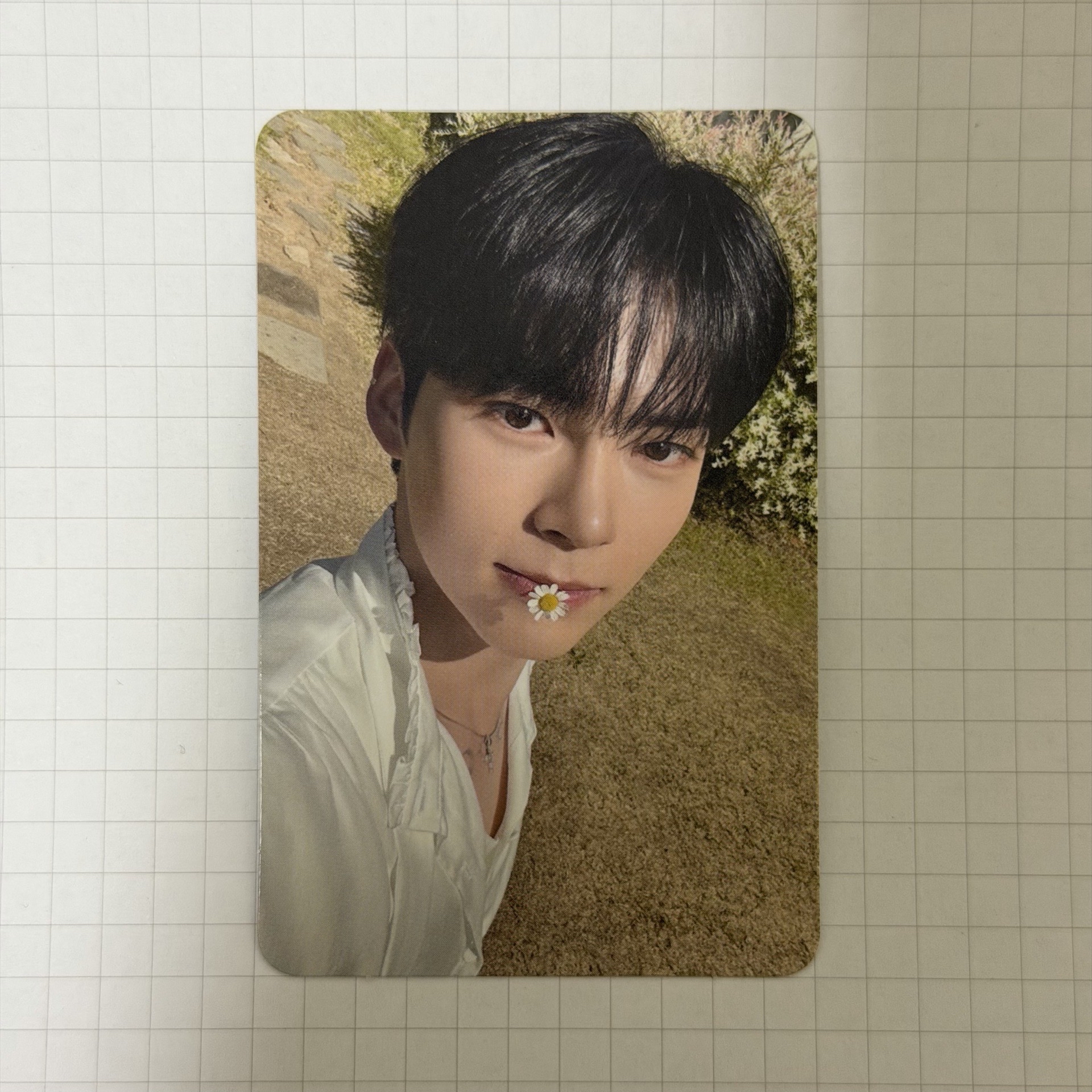 迷一 專輯卡 SHADE ver.