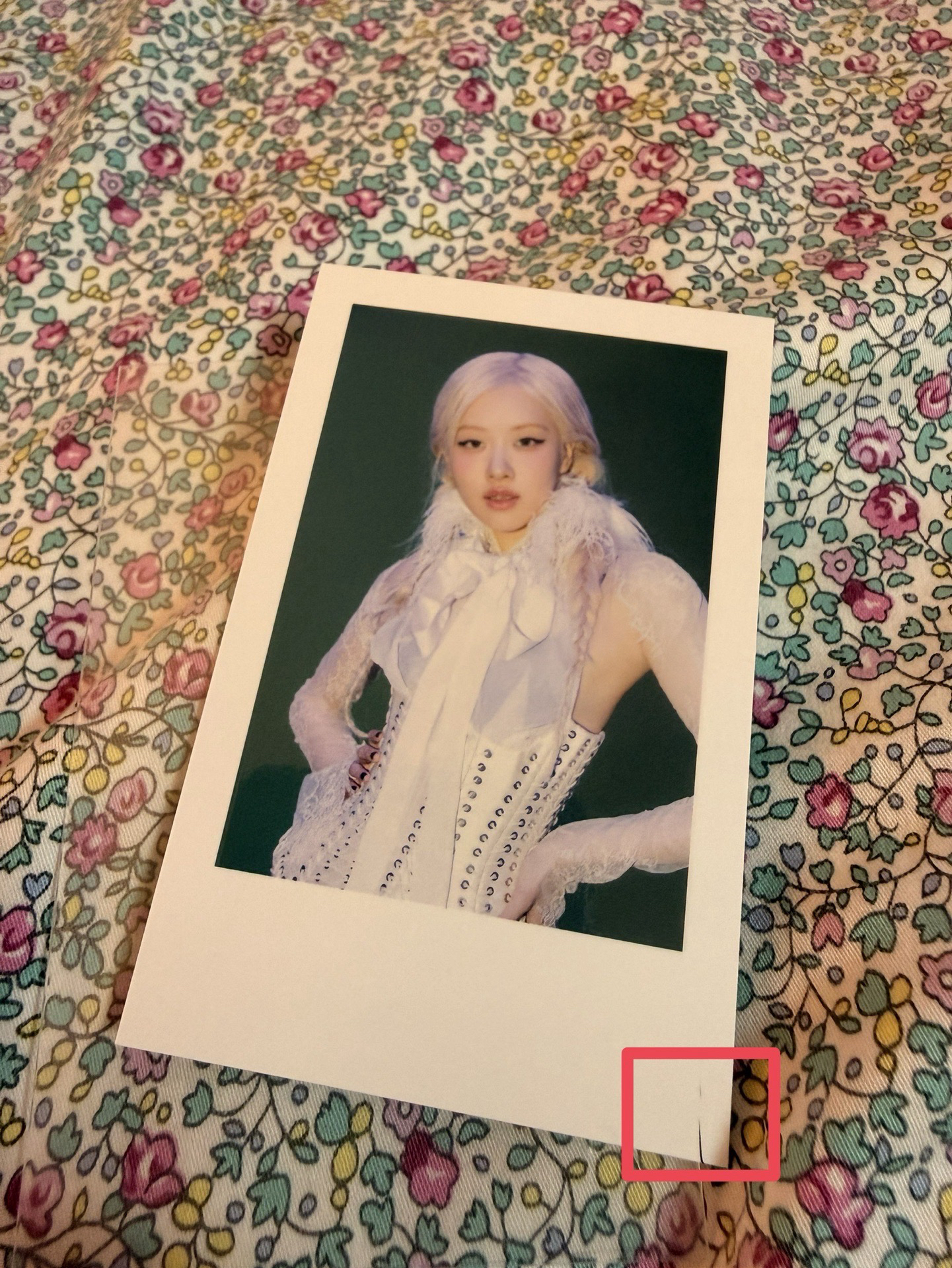 #售 肉拍立得 Musinsa