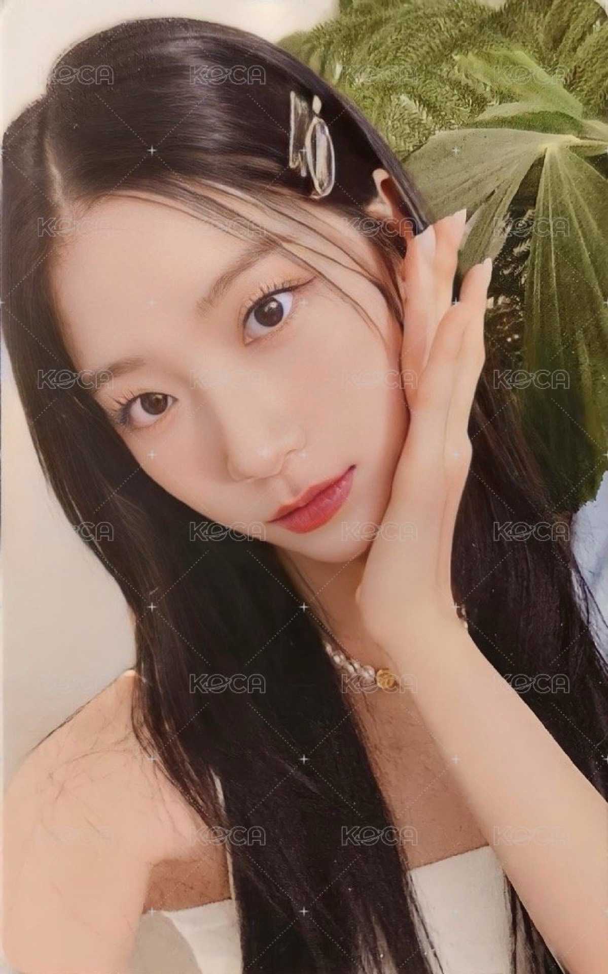 Unforgiven 專卡葉⭕️