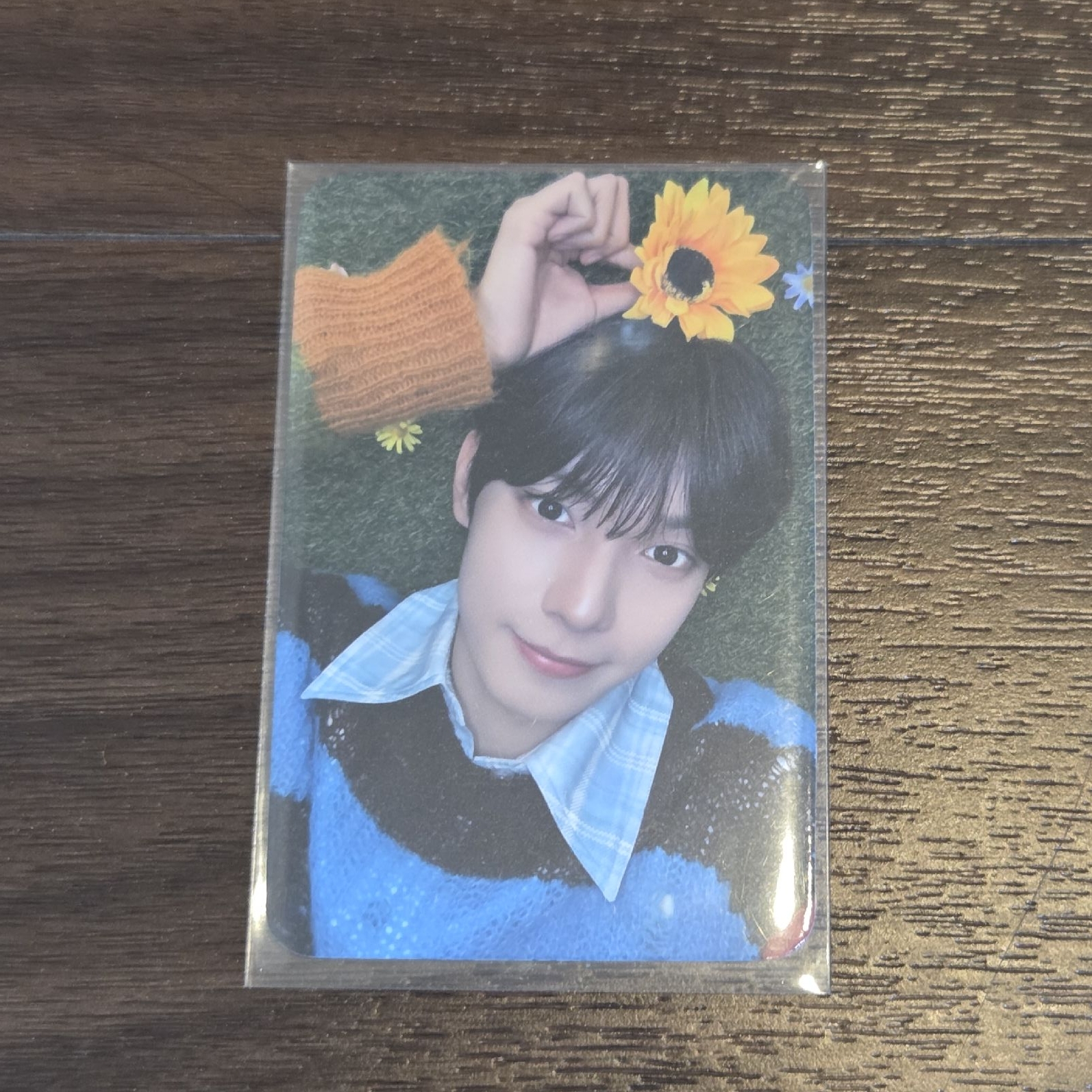 崔立于 音中 打歌卡