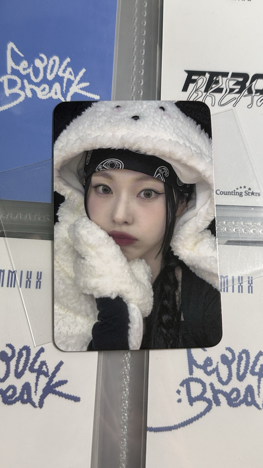 NMIXX sw小狗毛毯圭