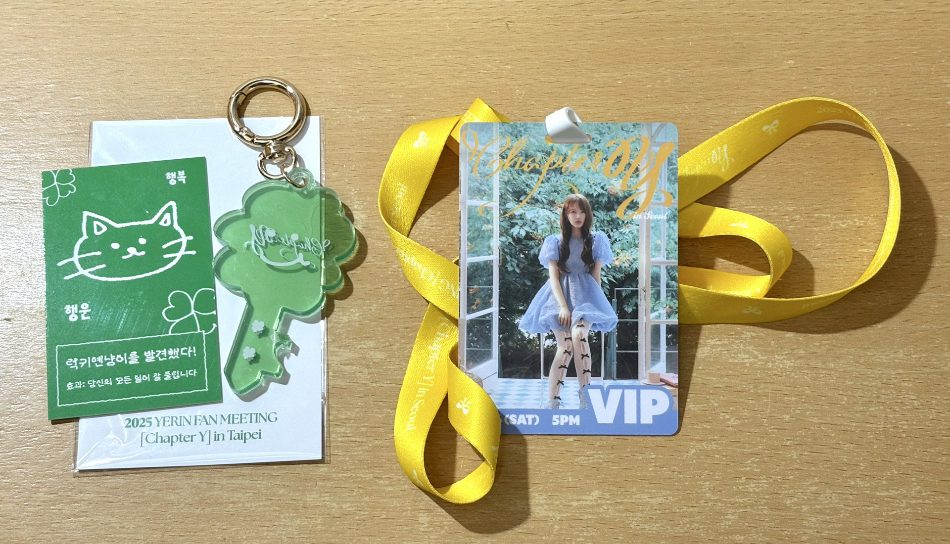 GFRIEND 小女友 Yerin 鄭睿隣 2025 FAN MEETING Chapter Y 鑰匙圈 VIP 吊牌