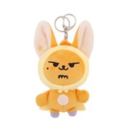 原皮黃春+竣中背小盤