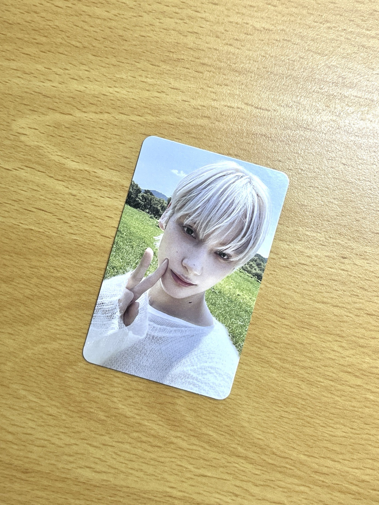 🍀白髮草地休寧兒