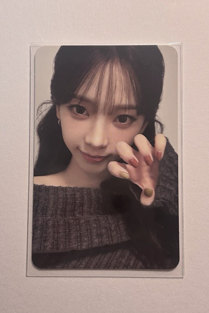 二巡貓抓柚（+冬）