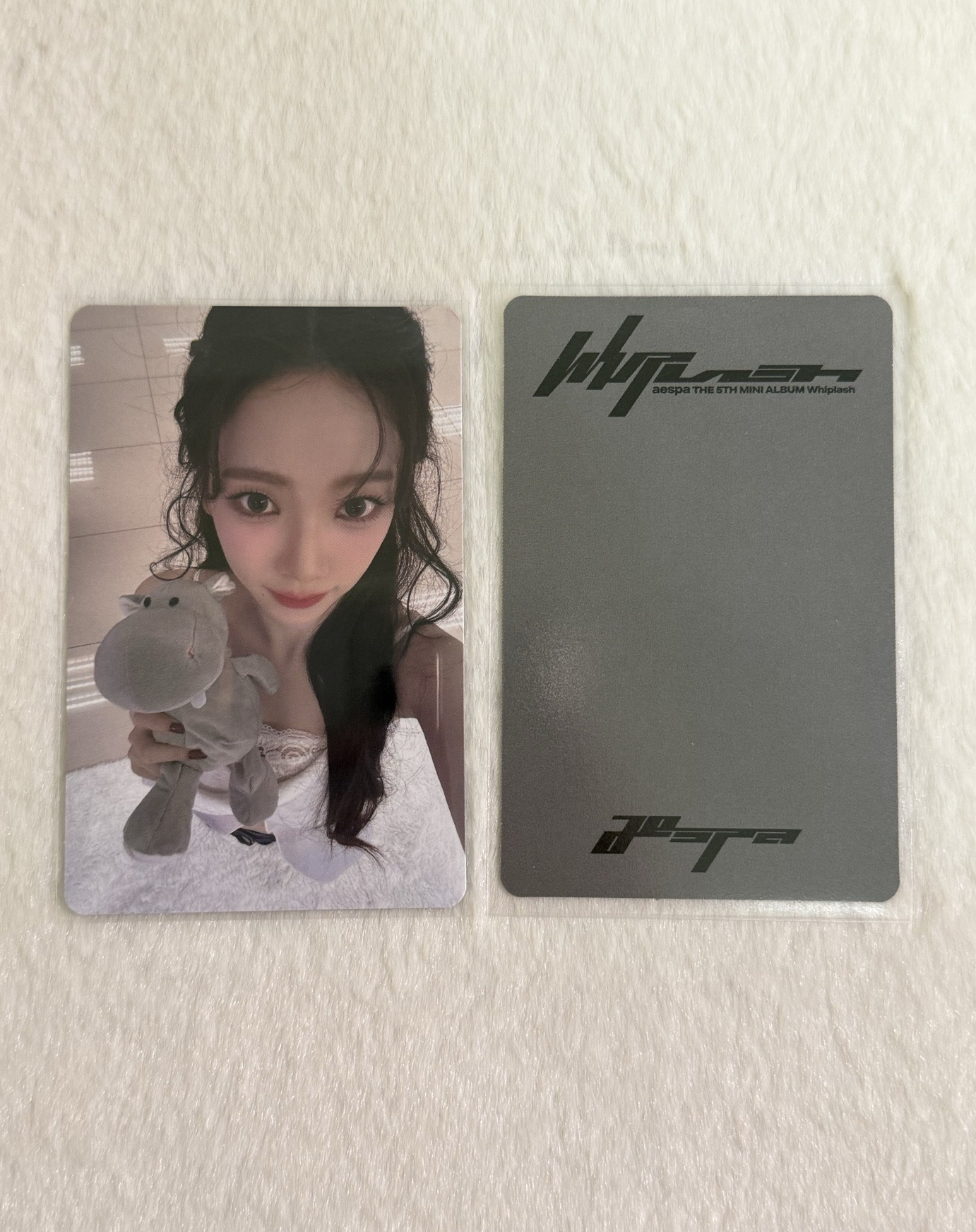 Whiplash 塔店 特典卡 柚