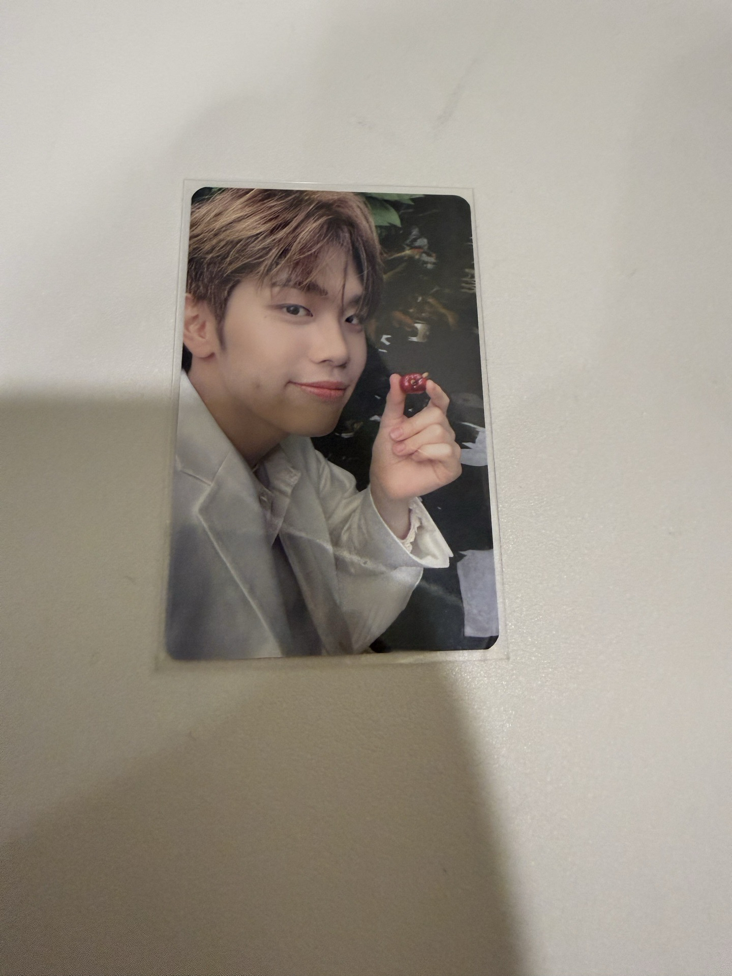 泰來23年隨機卡