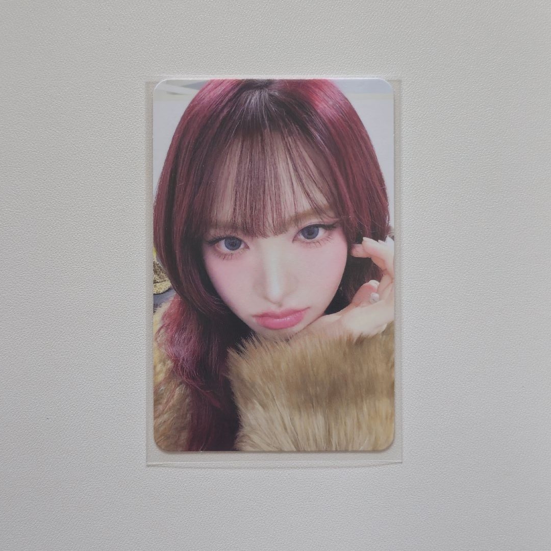 現貨wm7.0簽售 栗