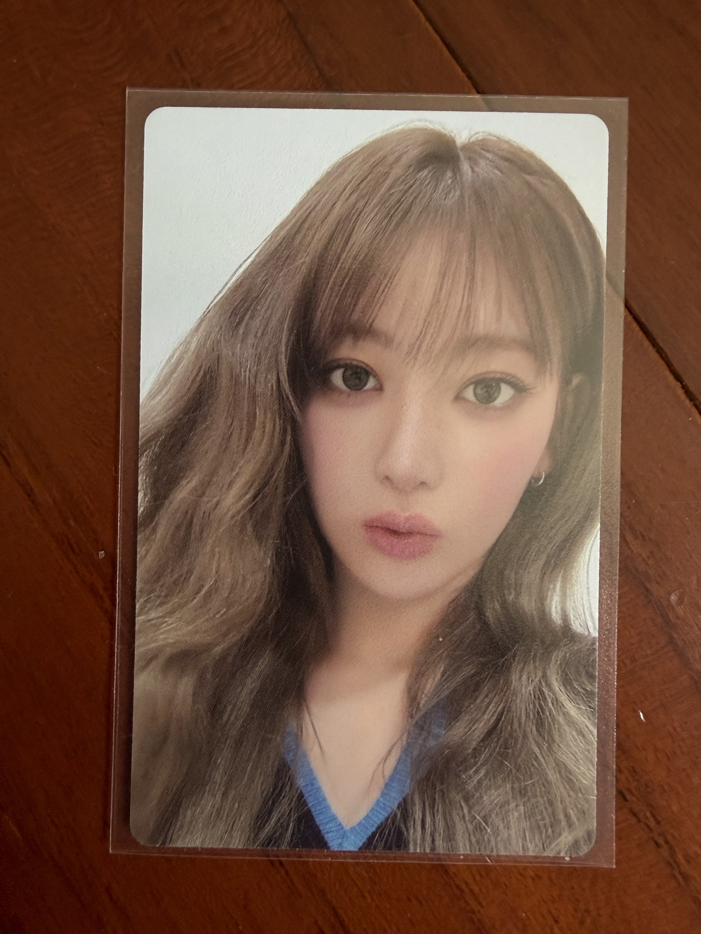 櫻花 HOT wvs 特典卡 鐵盒專特典 