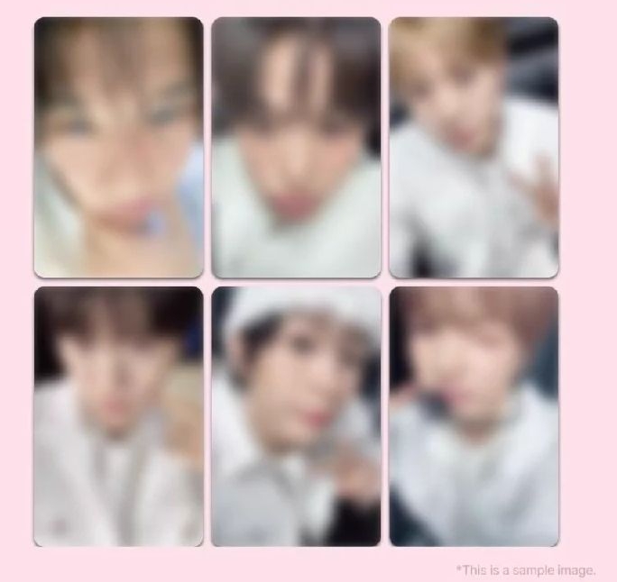 ms新加坡線上簽售