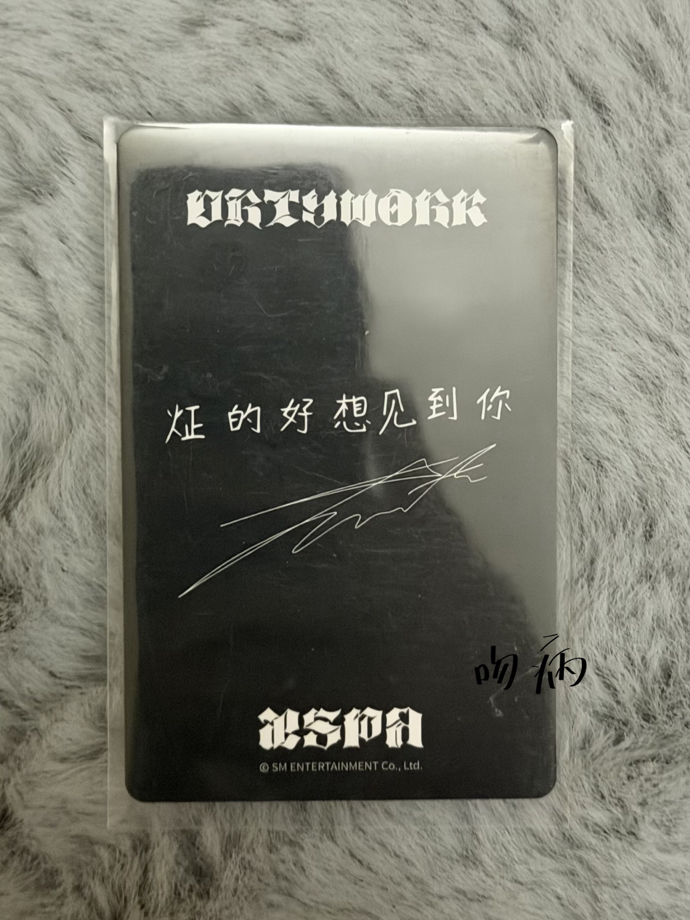 冬天 中文卡背區