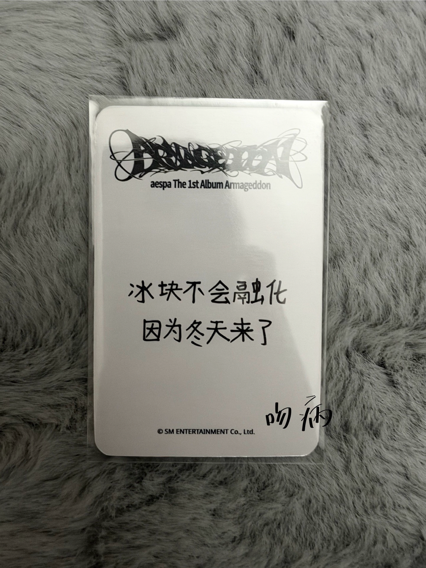 冬天 中文卡背區