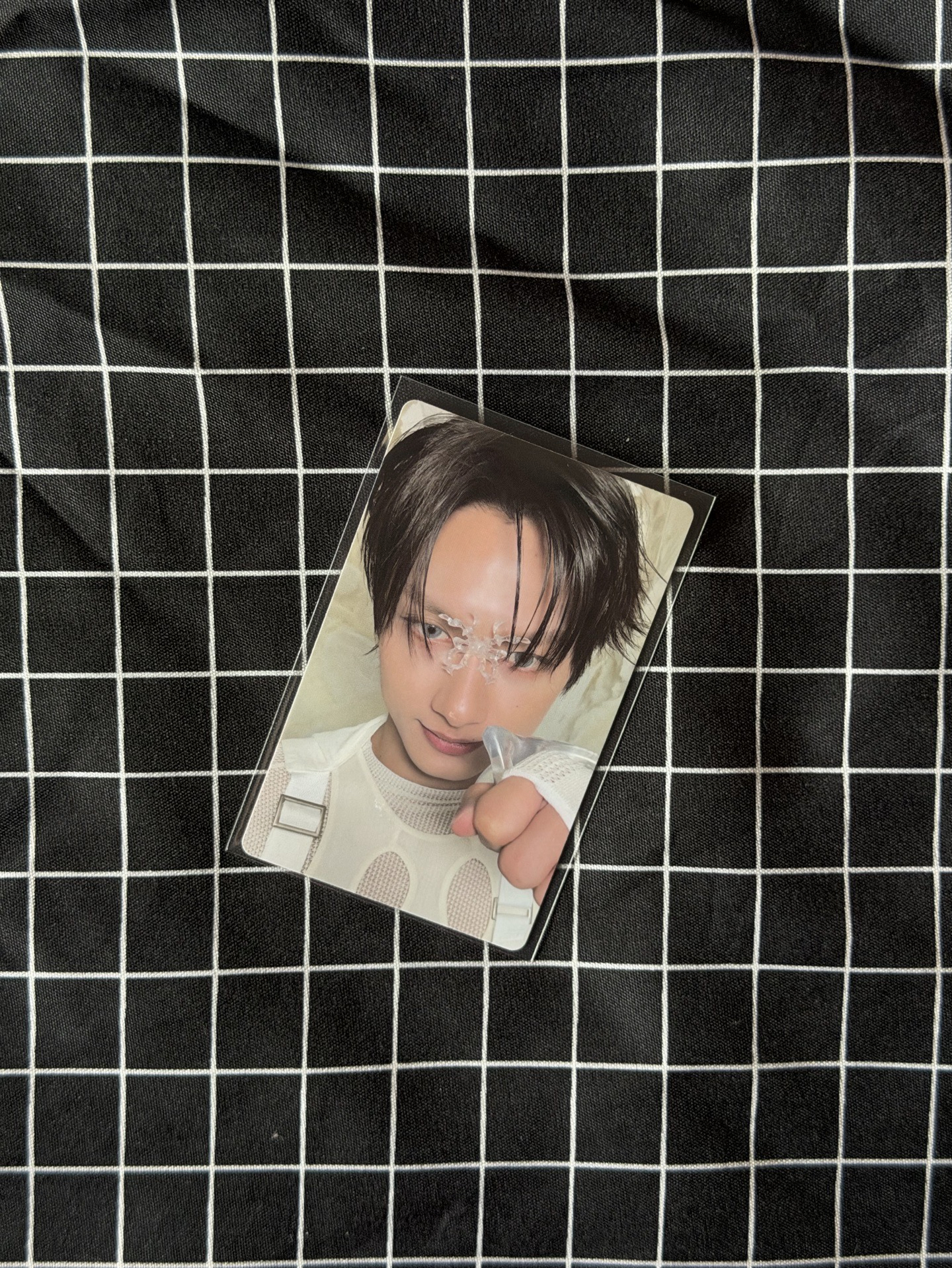 小貓碰拳👊🏻