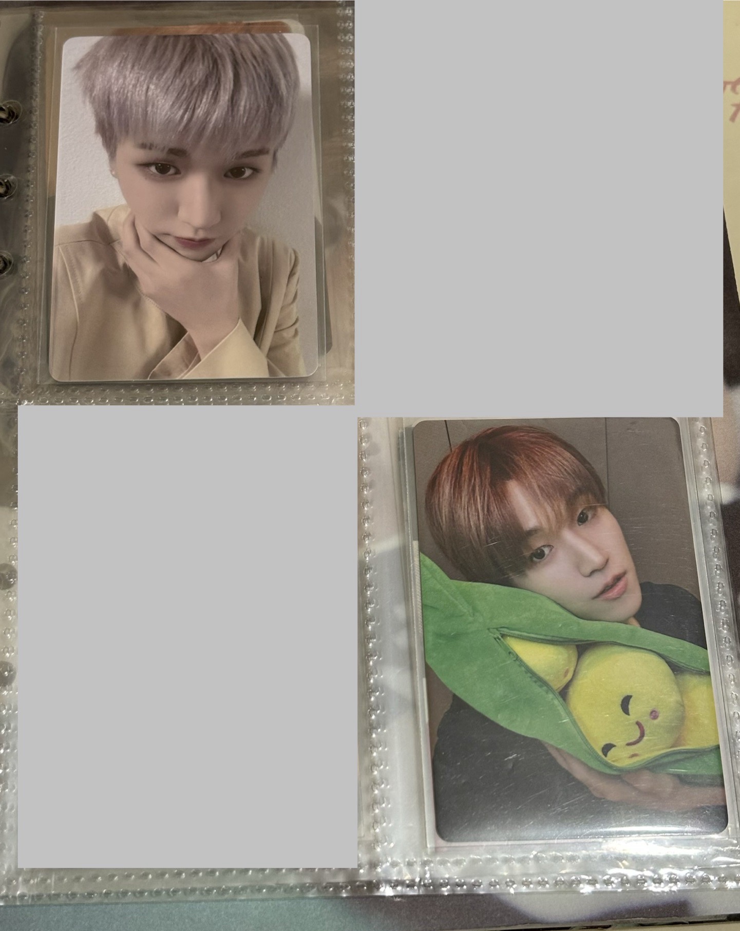 看哪！小海獺在看你