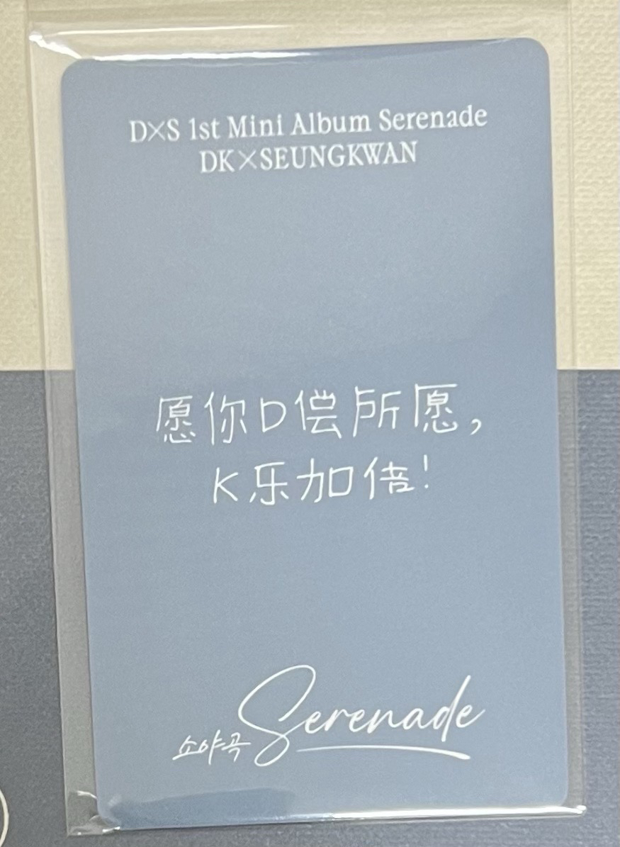 𝐃x𝐒｜yzy 1.0 中文卡背｜碩珉