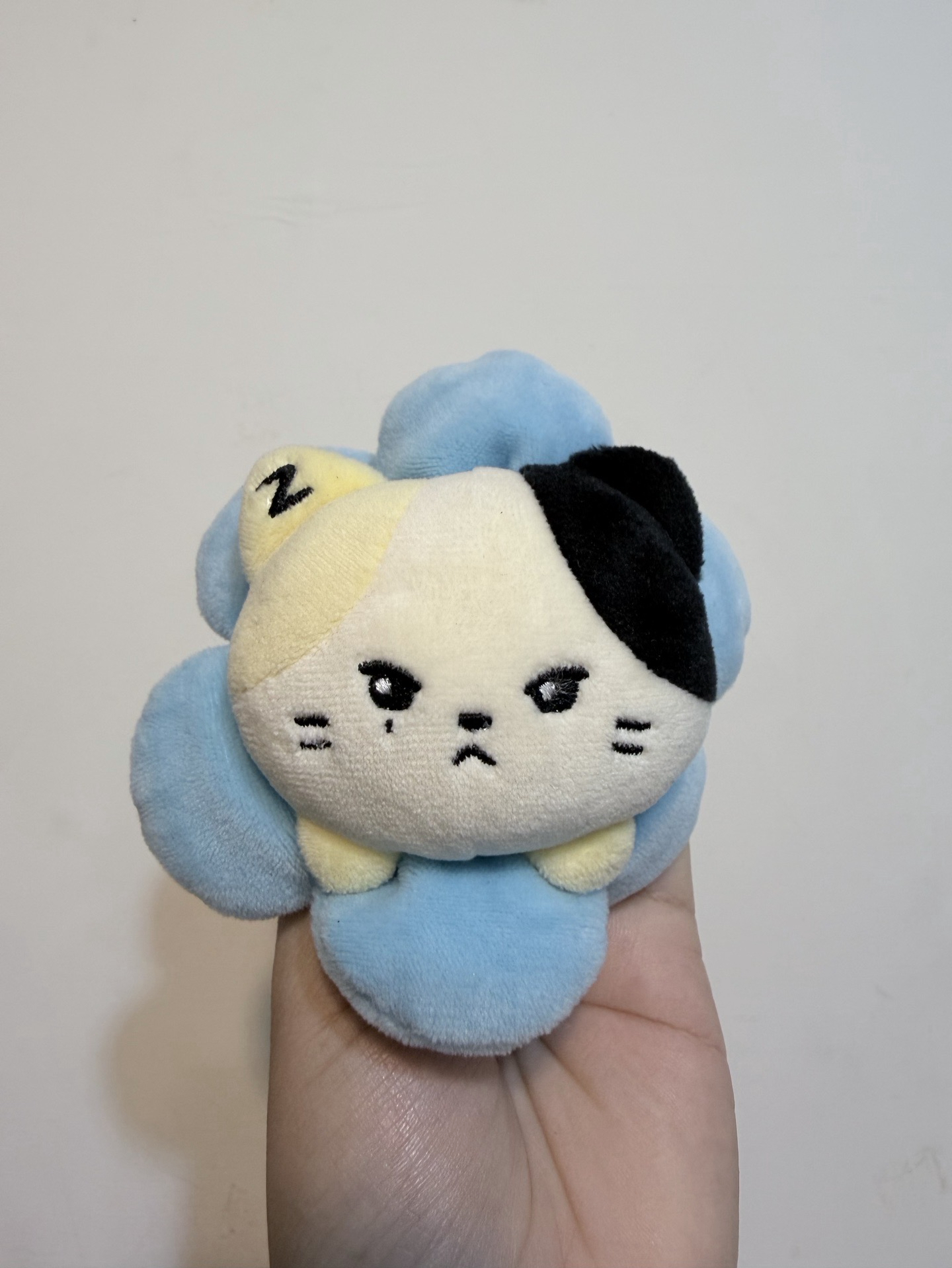 ZB1 rinini 鋭尼尼 手燈花花