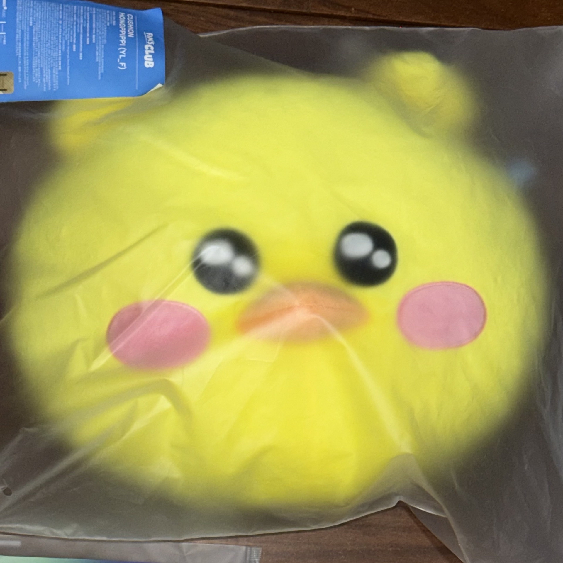 HONGPPIPPI抱枕+世巡娃+卡包允採四張+26‘年曆採卡 