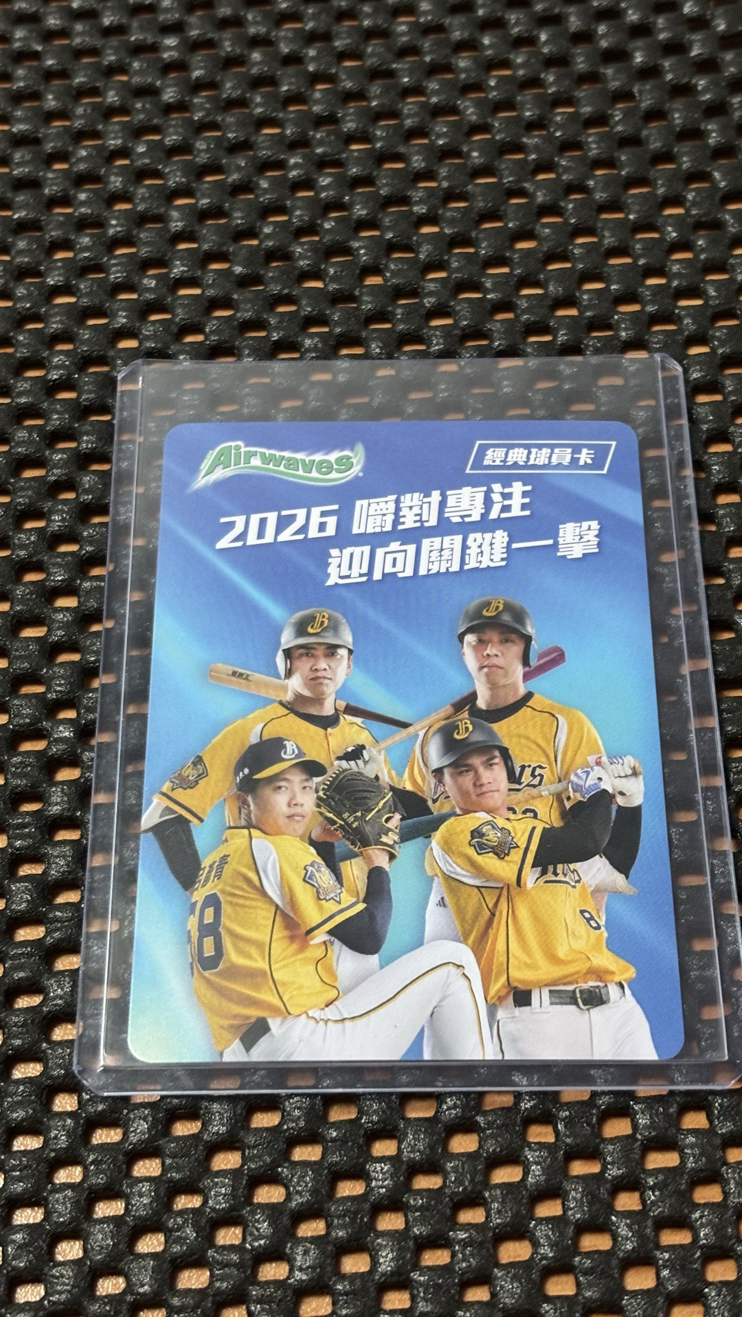詹子賢