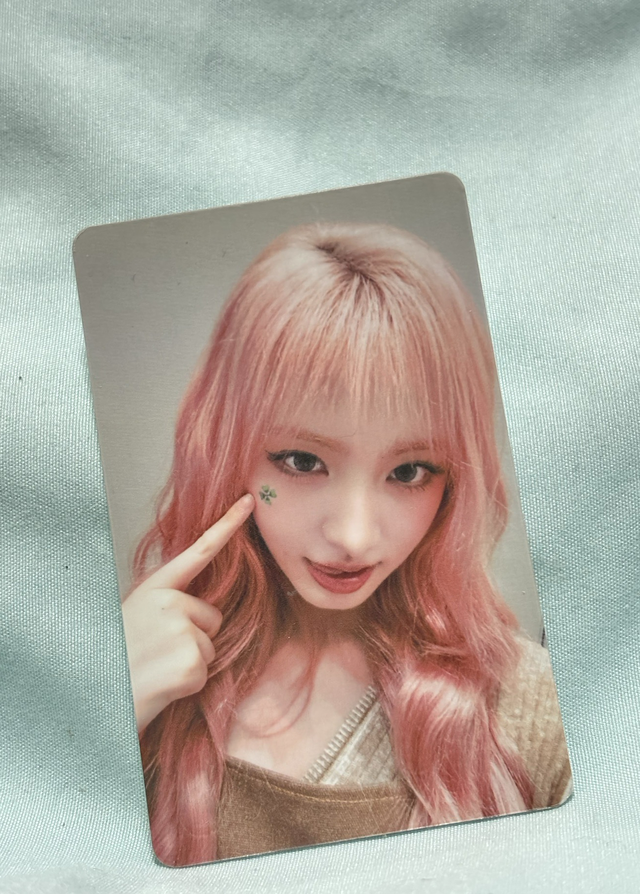 編號023 全新未撕膜 五星栗